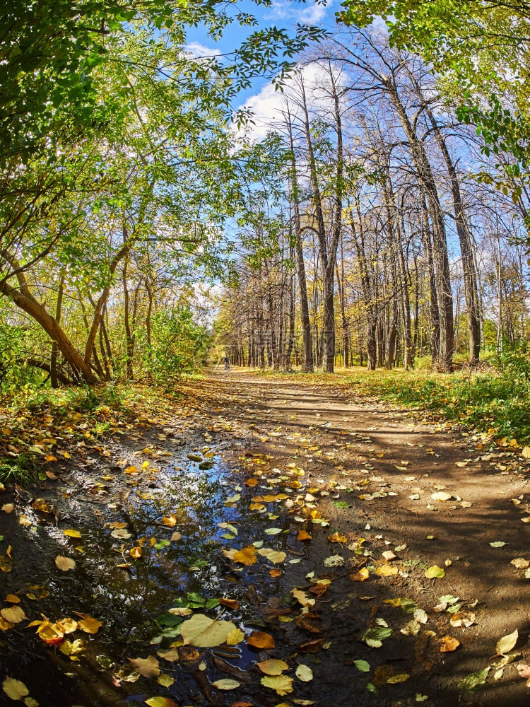 秋天的山间小路图片