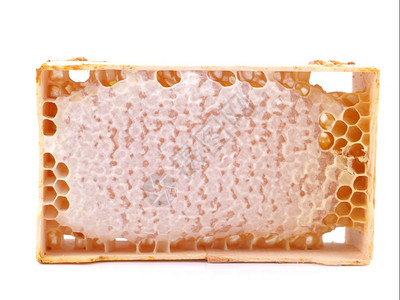 白色背景的蜂蜜中背景图片