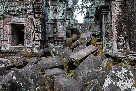 柬埔寨TaProhm寺庙的废墟图片