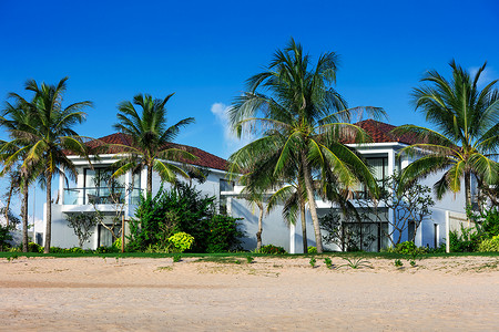 阳光明媚的一天海滩上美丽的别墅图片