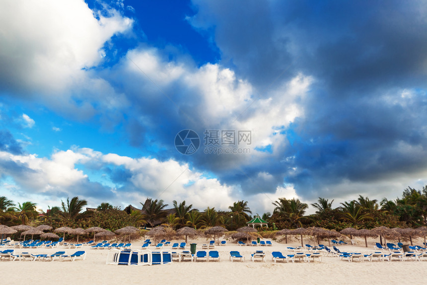 沙滩上的棕榈树和遮太阳的护晒者图片