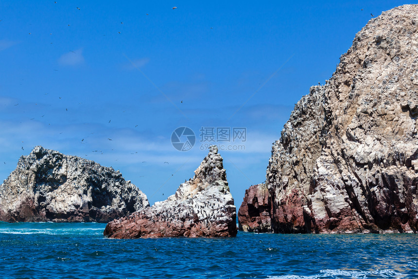 海洋岛屿和鸟类阳光明媚的日子图片