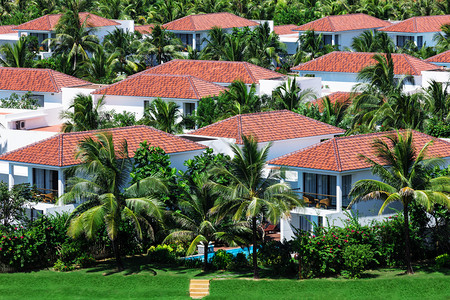 美丽的白色别墅和棕榈树图片