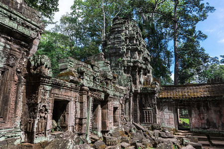柬埔寨吴哥TaProhm寺庙废墟图片