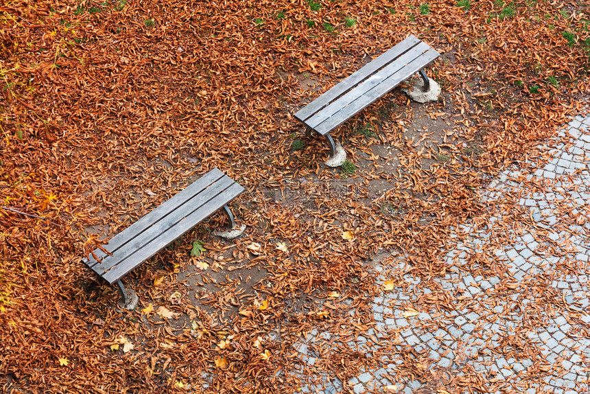 秋天公园的木板椅上图片