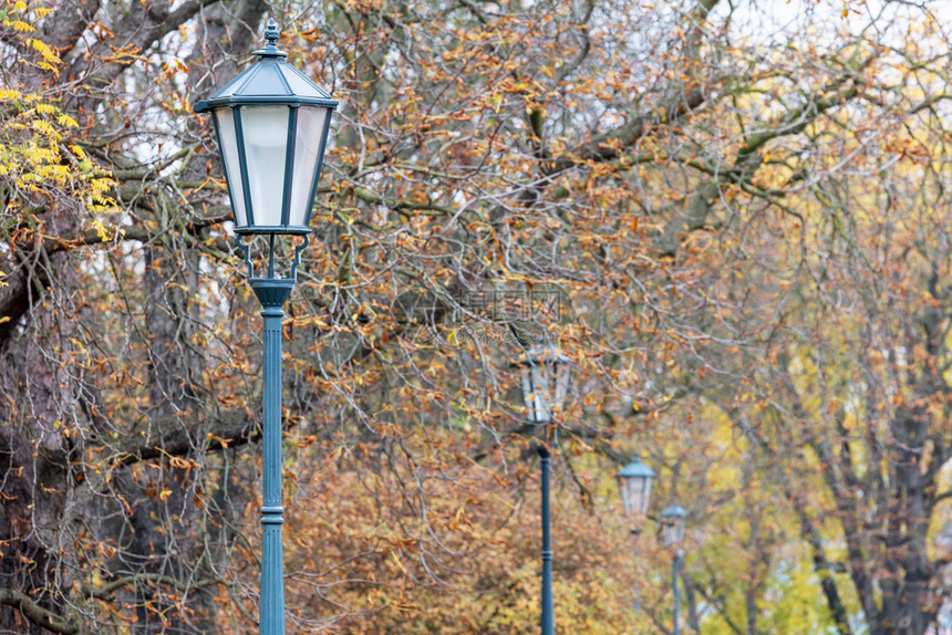 秋天美丽的公园旧街灯图片