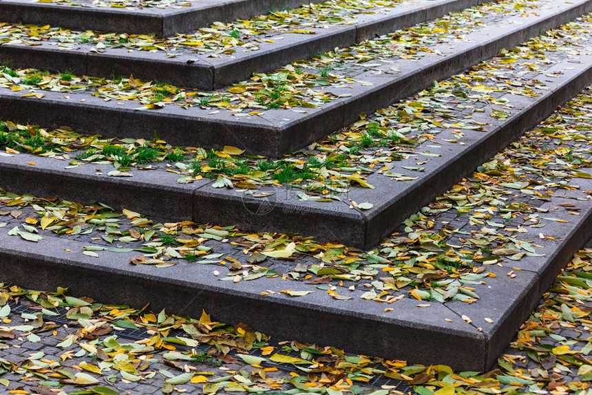 秋天有树叶和楼梯图片