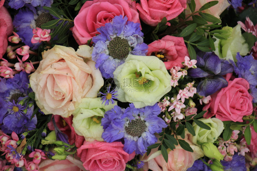 粉和蓝色的双彩花束玫瑰和葵图片