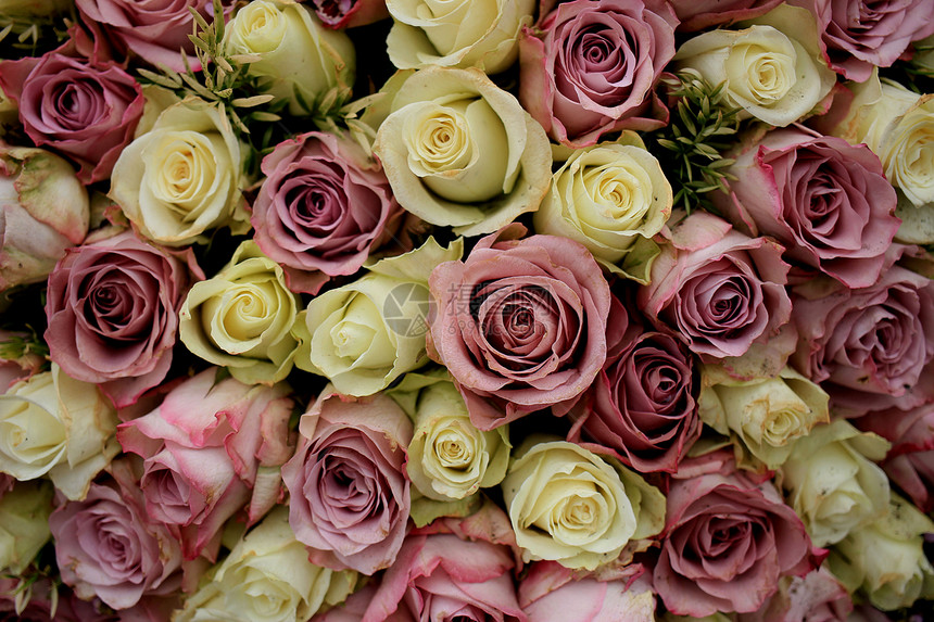 花式结婚装饰中的混合紫色和白玫瑰花图片