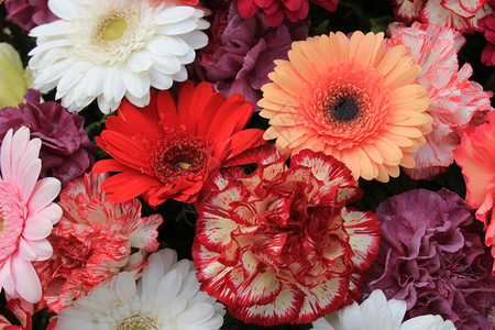 混合花安排以不同颜色为婚礼的各种杂花图片