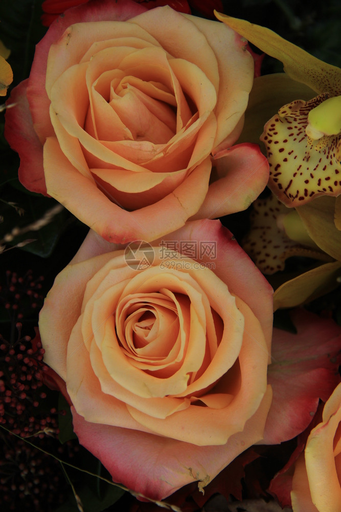花朵婚礼安排中的粉红玫瑰图片