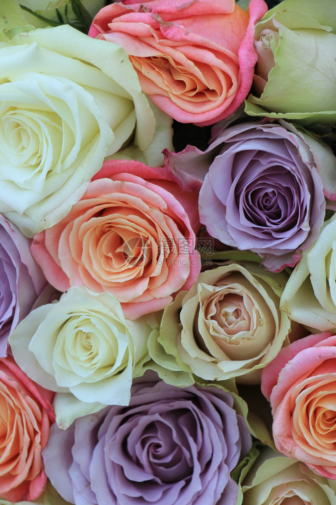 混合花的婚礼装饰各种面粉颜色的玫瑰花图片