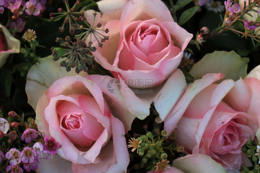 花朵婚礼安排中的粉红玫瑰图片