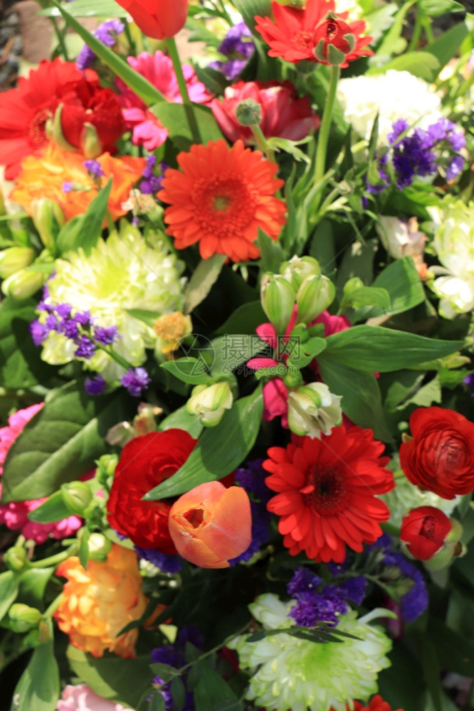 各种亮色的混合春季花束图片