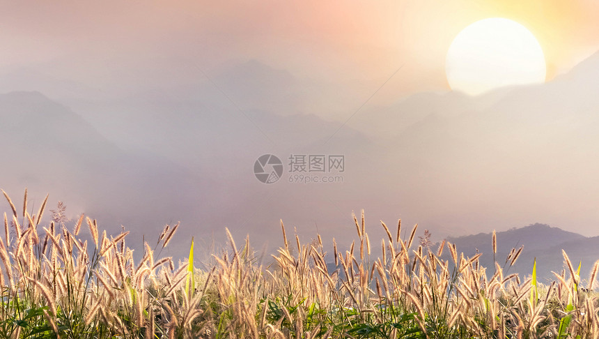 日出时春天的草地和山谷美丽的自然景观美丽的自然景观图片