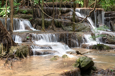 泰公园热带雨林的淡水瀑布热带雨林的瀑布图片