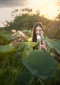 身着传统亚洲服饰的美女在花园里收割睡莲收割睡莲的女人图片