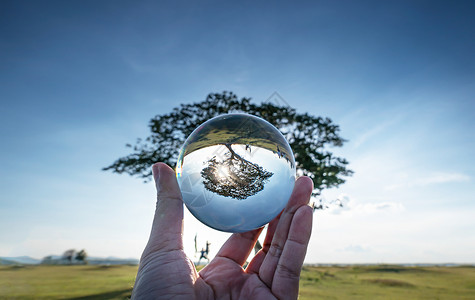 一颗美丽的大树蓝色天空摄影清晰的晶体玻璃球选择焦点晶体球大树图片