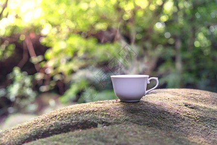 在雨林背景上喝杯热饮山满是石一杯热饮图片