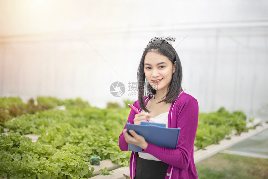 亚洲妇女检查报告农业健康食品概念中的有机水栽培新鲜蔬菜产品图片