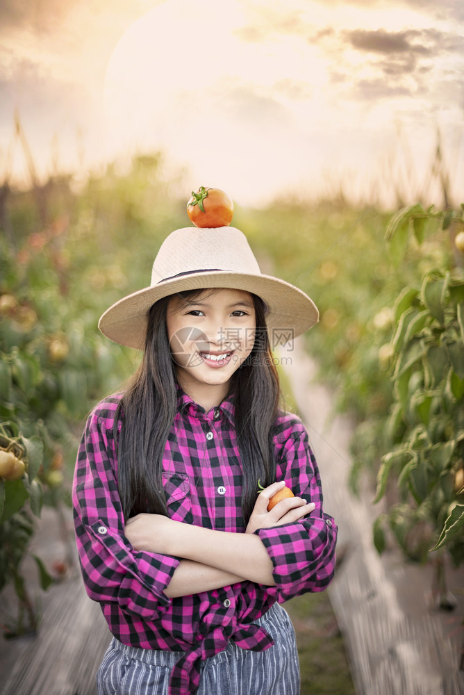 亚洲可爱的女孩帽子上有红番茄在花园里收获新鲜蔬菜图片