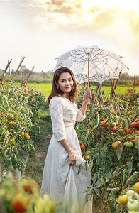 白伞穿西红柿花园白伞穿的亚洲美女图片
