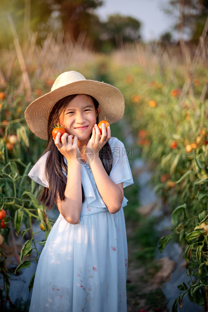红番茄亚洲漂亮女人在花园收获新鲜蔬菜红番茄花园的女孩图片