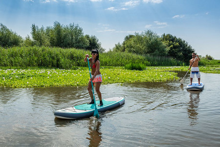 男女在湖上站起滑板年轻夫妇在湖上渡水男女旅游者在暑假期间图片