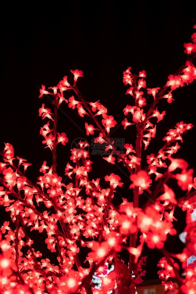 圣诞灯照耀着阿圭达葡萄牙街头的圣诞灯光所喷发的树枝美丽图片