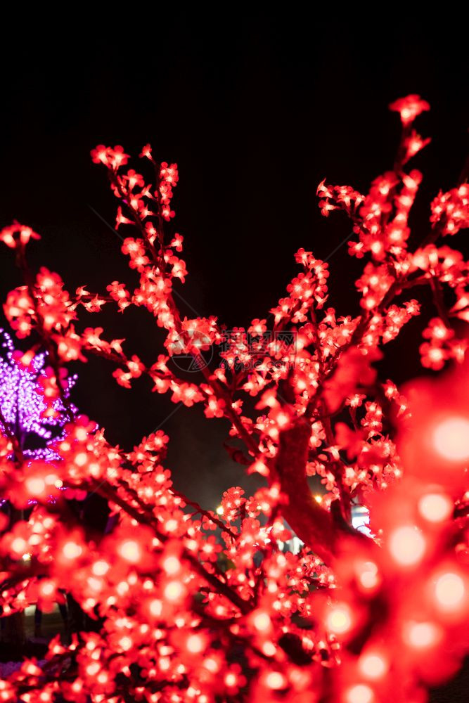 圣诞灯照耀着阿圭达葡萄牙街头的圣诞灯光所喷发的树枝美丽图片
