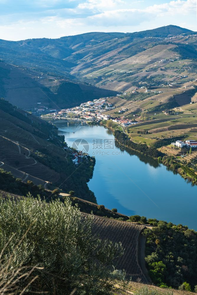 葡萄牙平豪村附近的杜罗河谷和流的梯田葡萄园景象牙和最美丽的地方旅行构想图片