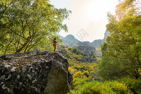 年轻女在阳光明媚的一天练习平衡瑜伽的青春树美丽风景背森林图片