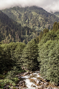 在黑海森林中流着淡水的美丽岩石小溪图片