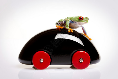 小摩托玩具树青蛙玩具和其他物品中的树青蛙背景