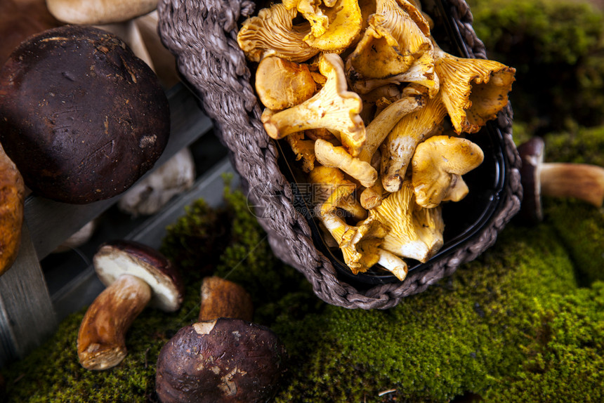 新鲜蘑菇的构成木制桌上的食物图片