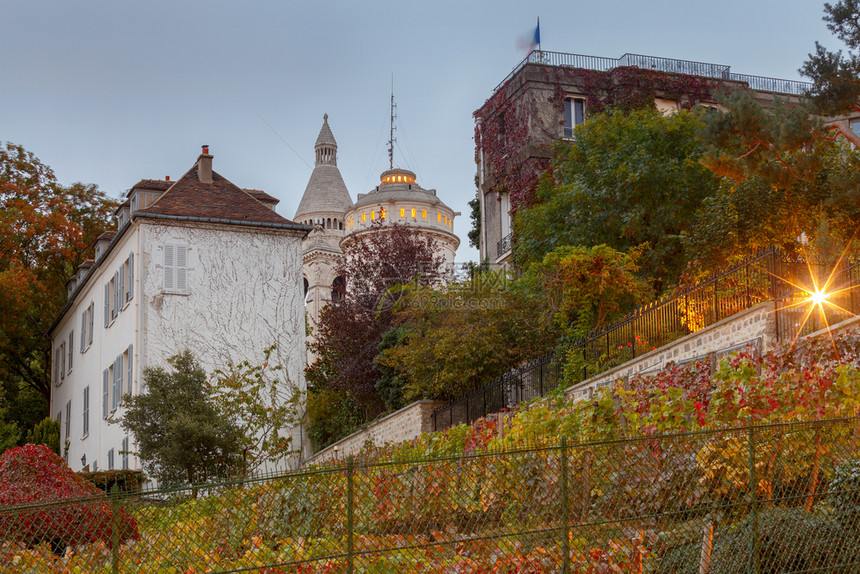 蒙马特山上的古老葡萄园在巴黎法国蒙马特山上的葡萄园图片
