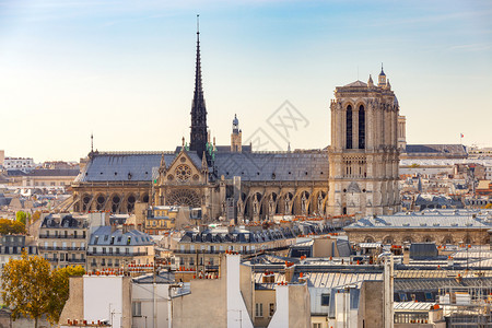 早上圣母大教堂的景象巴黎法国圣母大教堂的景象背景图片