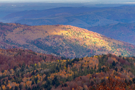 喀尔巴阡山脉的明亮多彩秋天森林斯科尔乌克兰喀巴阡山脉秋天多彩的森林图片
