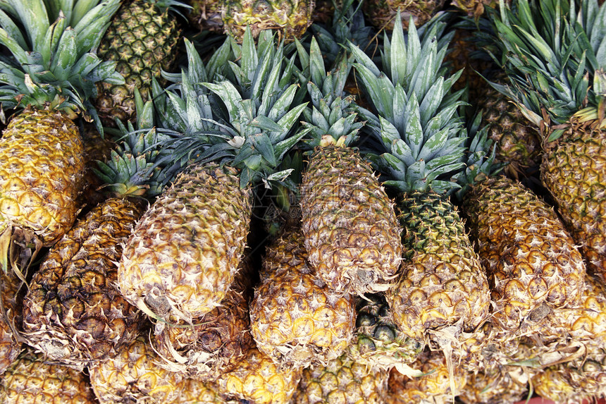 Pineapple在中美洲墨西哥金塔纳罗奥省Yucatan市附近坎昆妇女岛村的一个市场中墨西哥209年1月妇女岛YUCISCOY图片