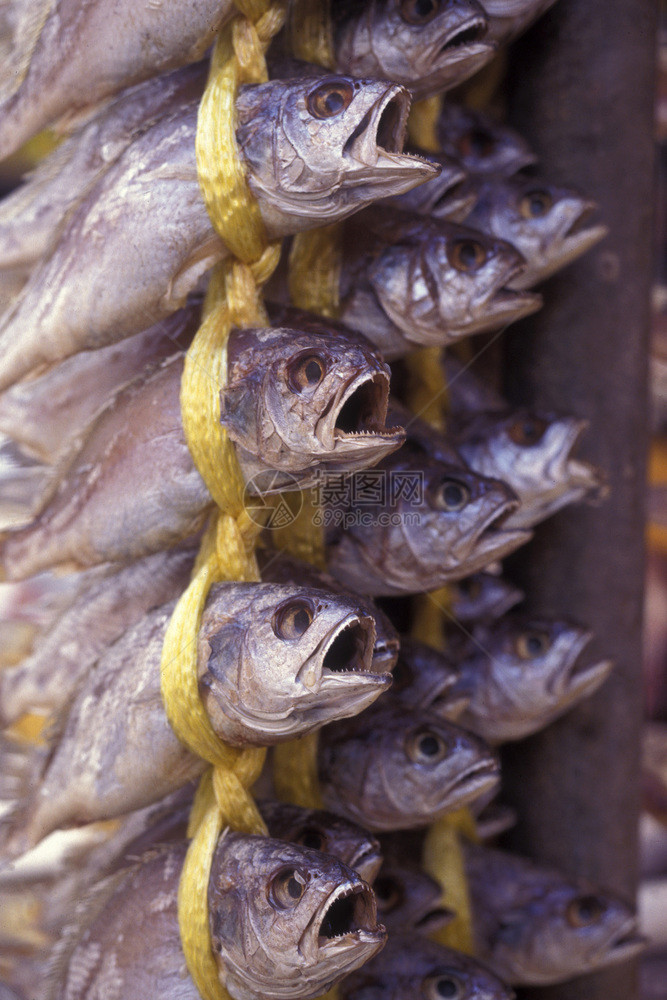 南韩国首尔市食品场上的鱼鲜206年5月首尔南韩国太平洋渔业图片