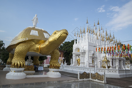 泰国北部弗拉市瓦邦苏南寺的一只大金龟泰国弗拉2018年11月泰国佛拉瓦庞苏南寺背景