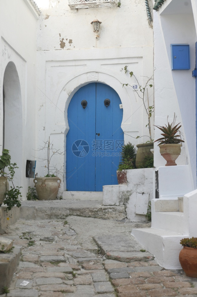 209年3月突尼斯北部市北部市附近的SidiBouSaid老城SidiSaid的一条小巷上个传统门突尼斯SidiSair图片