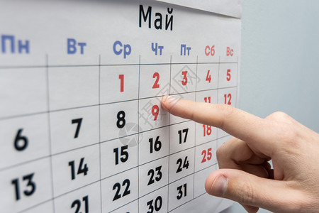 办公室专家的手指向墙上的日历背景图片