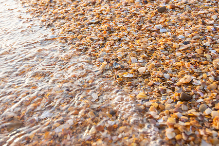 海浪在滨冲刷了多色小海壳图片