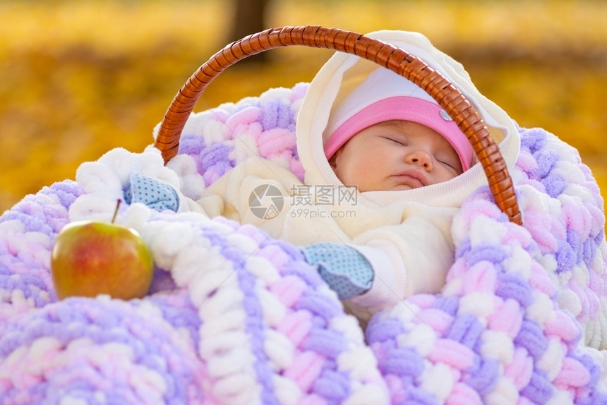 婴儿在秋季公园的篮子里睡觉旁边是苹果图片