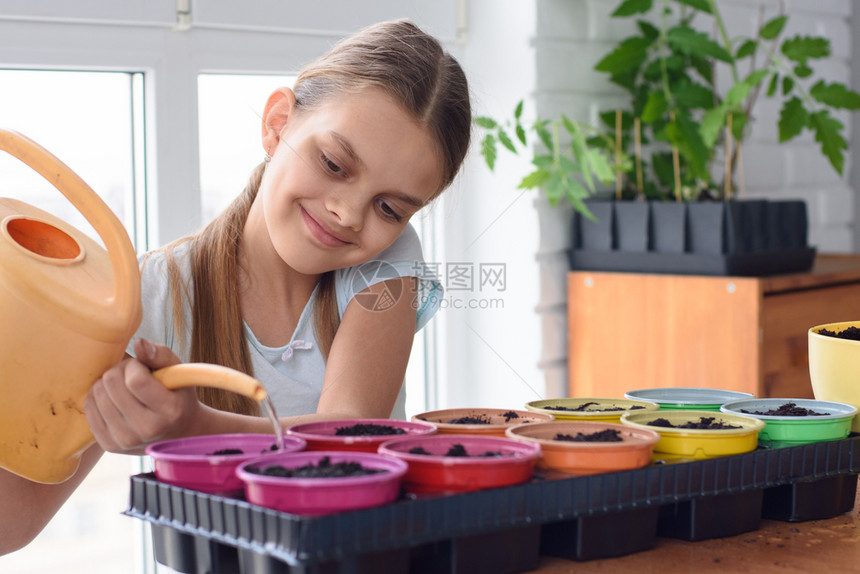 女孩用水罐给种子浇水图片