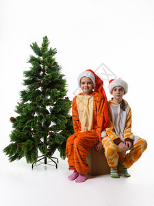 两个女孩坐在一盒子上带着玩具的女孩坐在人造圣诞树旁边图片