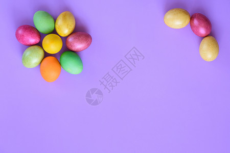 紫色背景上的彩色的蛋图片
