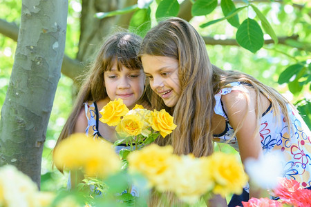 两个女孩在花园里享受黄色玫瑰的美丽图片