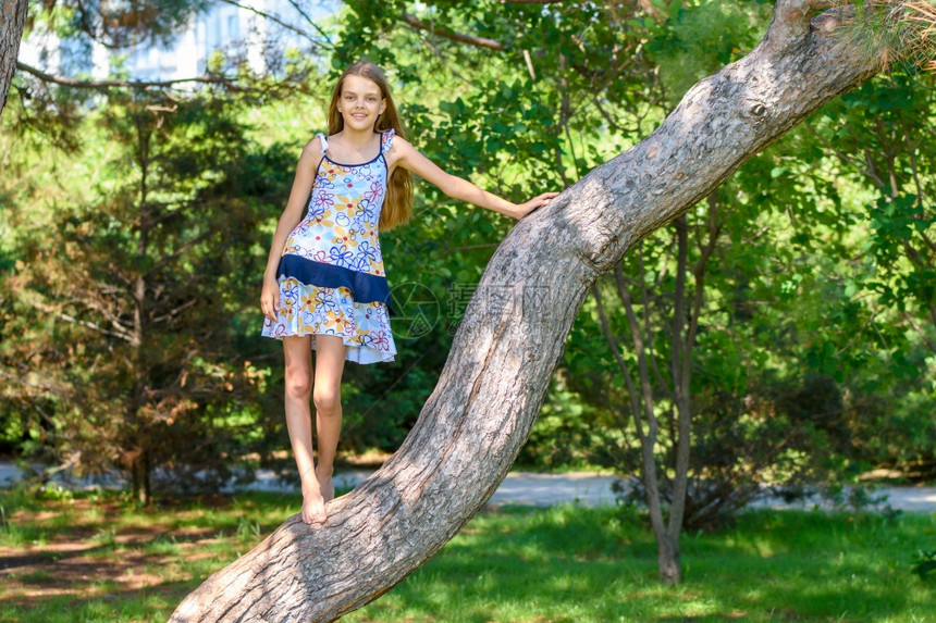 女孩爬上一棵树在个城市公园图片